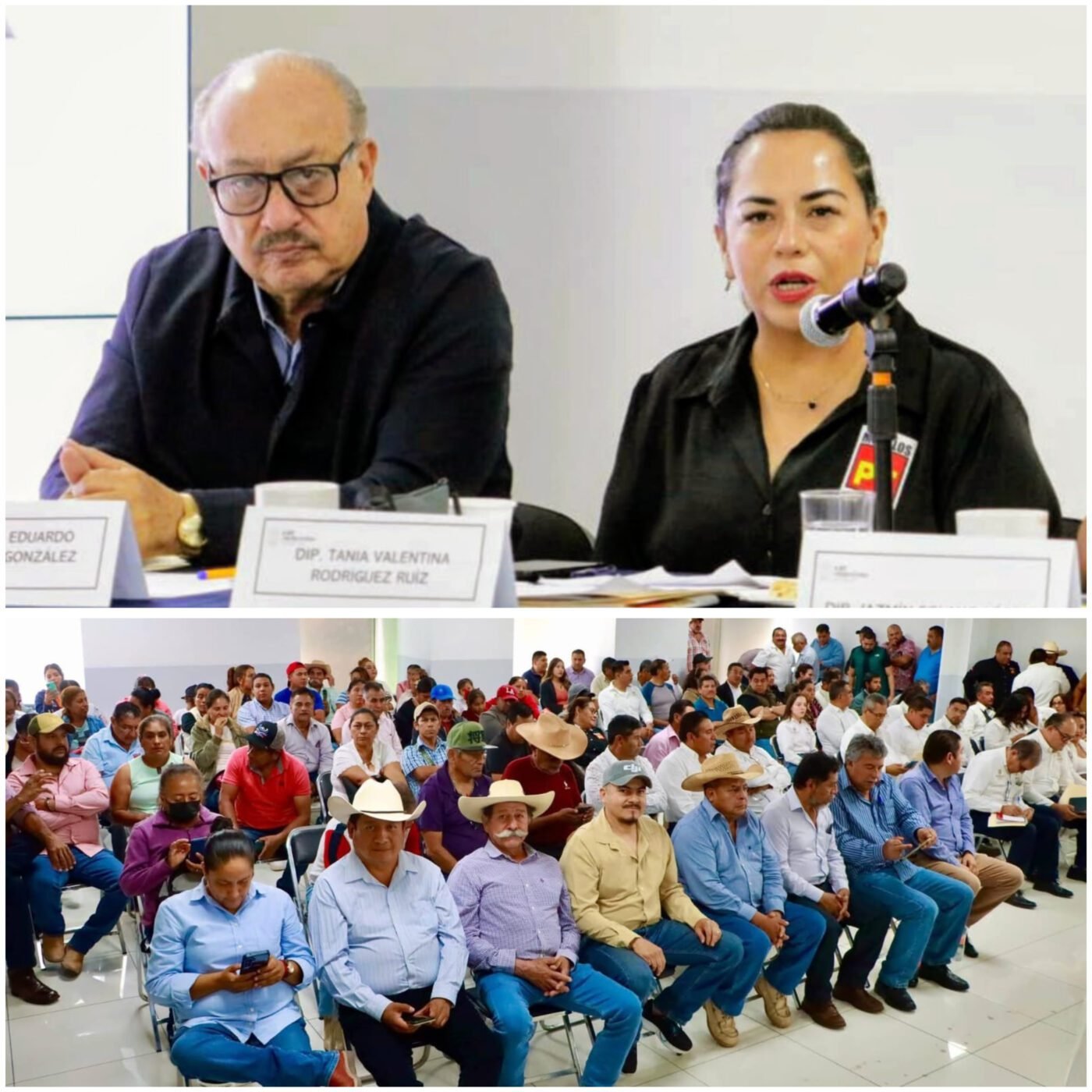 Exige Tania Valentina justicia y acciones urgentes ante plaga en el campo morelense