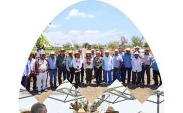 #Morelos MEJORA GOBIERNO DE MARGARITA GONZÁLEZ SARAVIA CAMINOS DE SACA COSECHA EN AYALA.