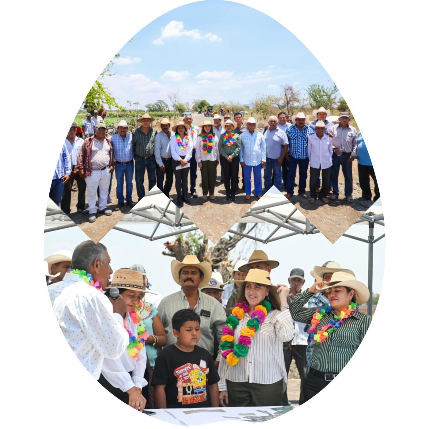 #Morelos MEJORA GOBIERNO DE MARGARITA GONZÁLEZ SARAVIA CAMINOS DE SACA COSECHA EN AYALA.