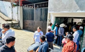 #Municipios Lleva Tania Valentina servicios de movilidad para facilitar trámites a la ciudadanía.