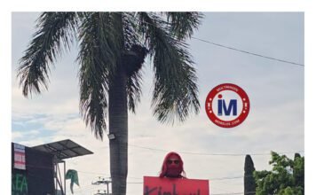 #Morelos “Un camellón convertido en memorial; el nombre de ellas, en estadística”.