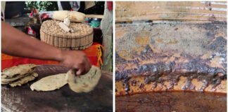 #Gastronomía El sabor de las abuelas invadió el Jardín Borda.#Morelos