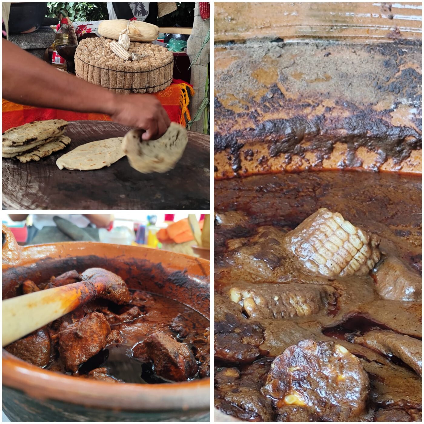 #Gastronomía El sabor de las abuelas invadió el Jardín Borda.#Morelos