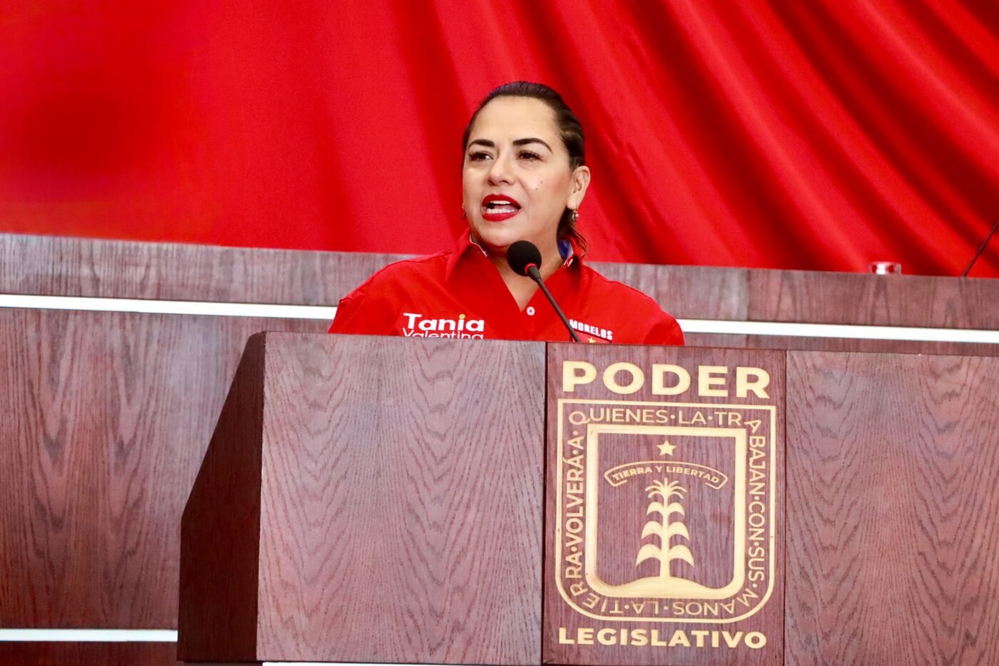 PROPONE DIPUTADA TANIA VALENTINA RODRÍGUEZ PARTICIPACIÓN IGUALITARIA DE HOMBRES Y MUJERES EN EL HOGAR.