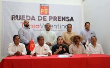 #Morelos ALERTAN SOBRE EMERGENCIA FITOSANITARIA POR ESCARABAJO AMBROSIA Y GUSANO BARRENADOR.