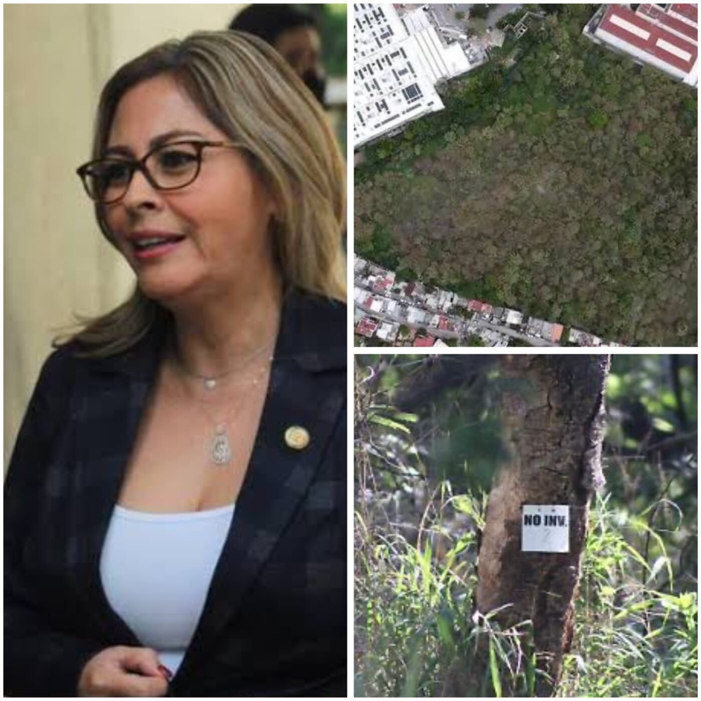#EnCuernavaca EN RIESGO AMBIENTAL POR PROYECTO INMOBILIARIO EN LA CASAHUATERA: LUCY MEZA