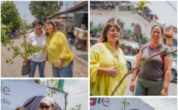 #Capital SE SUMAN COLONIAS DE CUERNAVACA A MEGGIE SALGADO PARA RECUPERAR ESPACIOS VERDES.