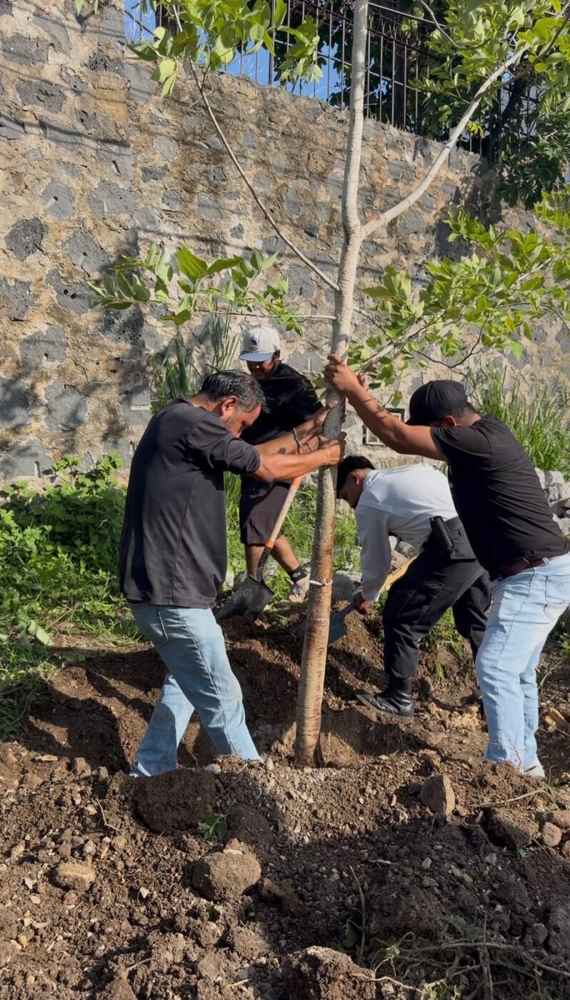ATIENDE MEGGIE SALGADO DENUNCIA Y EVITA NUEVO DERRIBO DE ÁRBOLES EN CUERNAVACA.