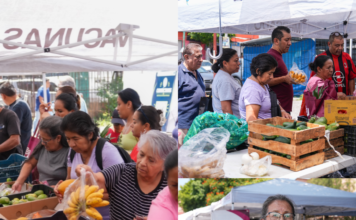 #Cuernavaca VÍCTOR MERCADO ACERCA SERVICIOS Y APOYOS, CON MERCADO DEL BIENESTAR A FLORES MAGÓN.