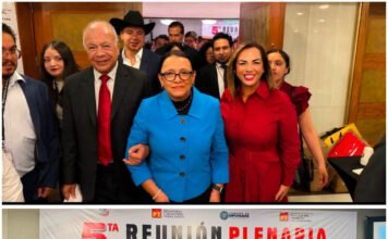 CONSOLIDAN TRABAJO LEGISLATIVO DIPUTADOS LOCALES Y FEDERALES DEL PT: TANIA VALENTINA.