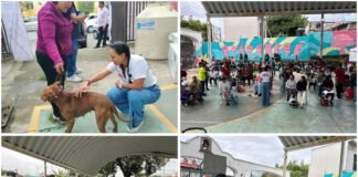 #Cuernavaca CAMPAÑA DE ESTERILIZACIÓN A MASCOTAS, LLEVA LA DIPUTADA FEDERAL, SANDRA ANAYA.
