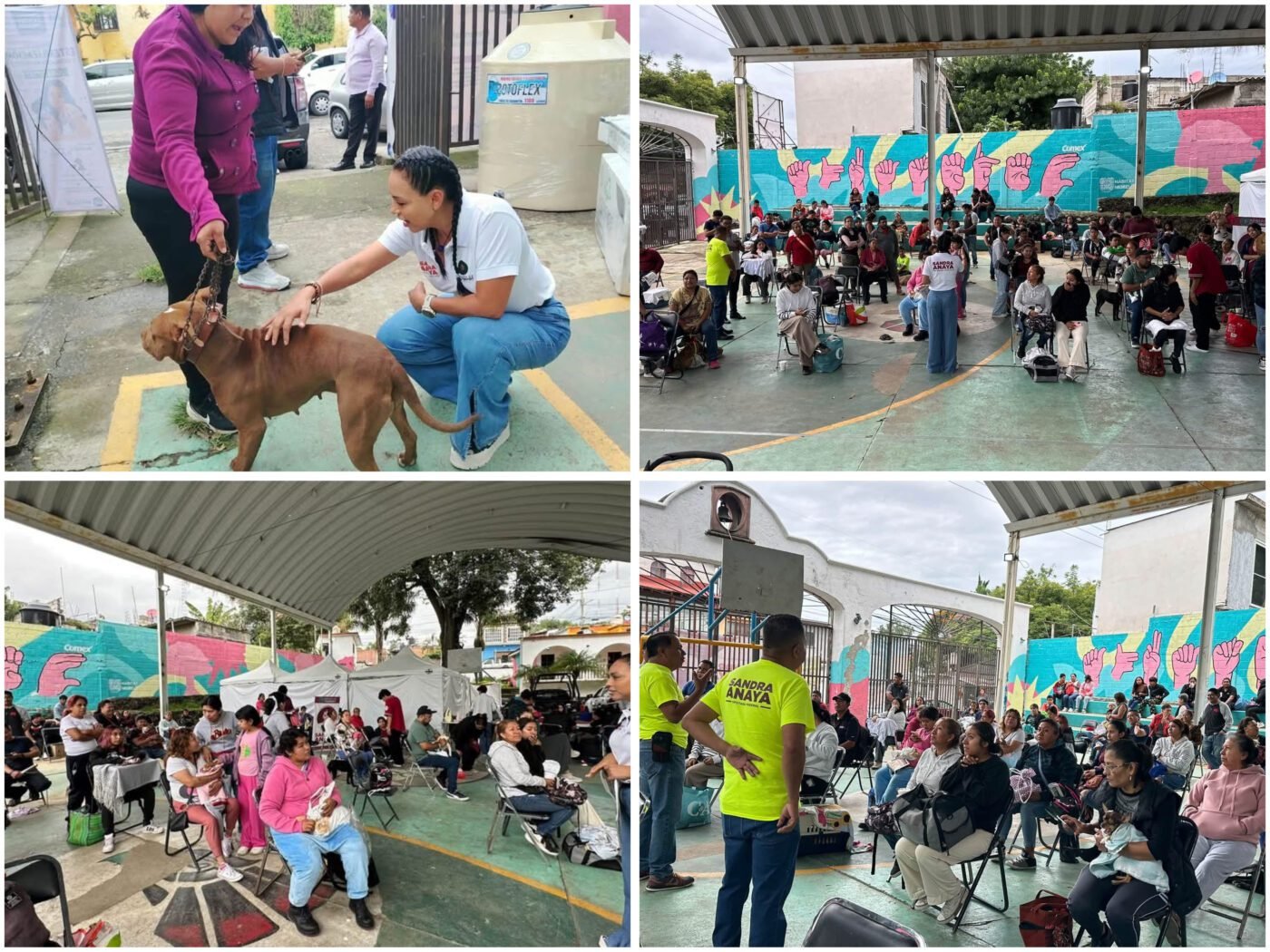 #Cuernavaca CAMPAÑA DE ESTERILIZACIÓN A MASCOTAS, LLEVA LA DIPUTADA FEDERAL, SANDRA ANAYA.