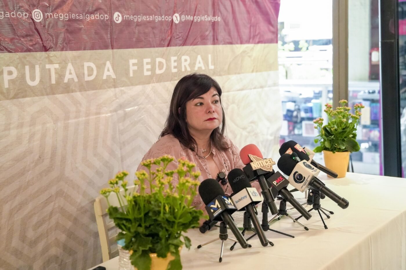 #Cuernavaca EXIGE MEGGIE SALGADO AUDITORÍA AL SAPAC Y TRANSPARENTAR PROYECTO DE PANELES SOLARES.